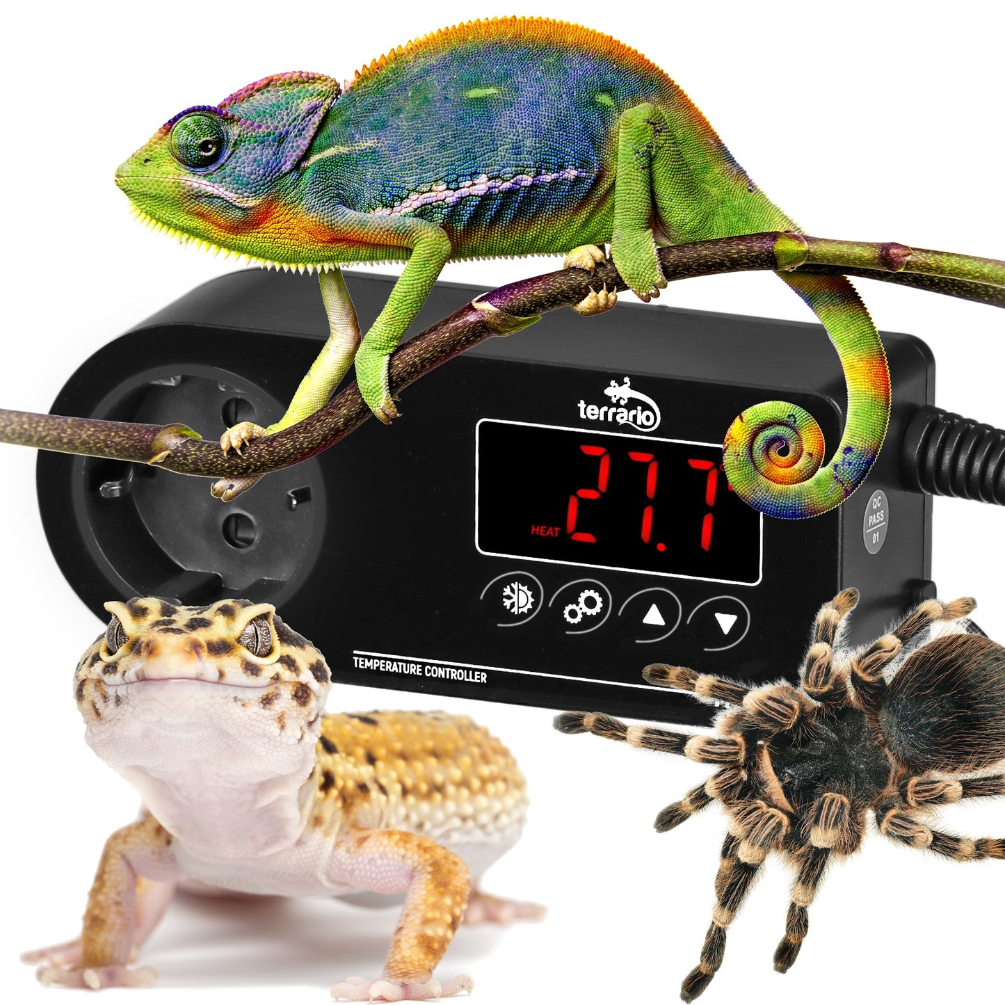 1d99d0dd4e6c068cb6c83c36ce52e39d