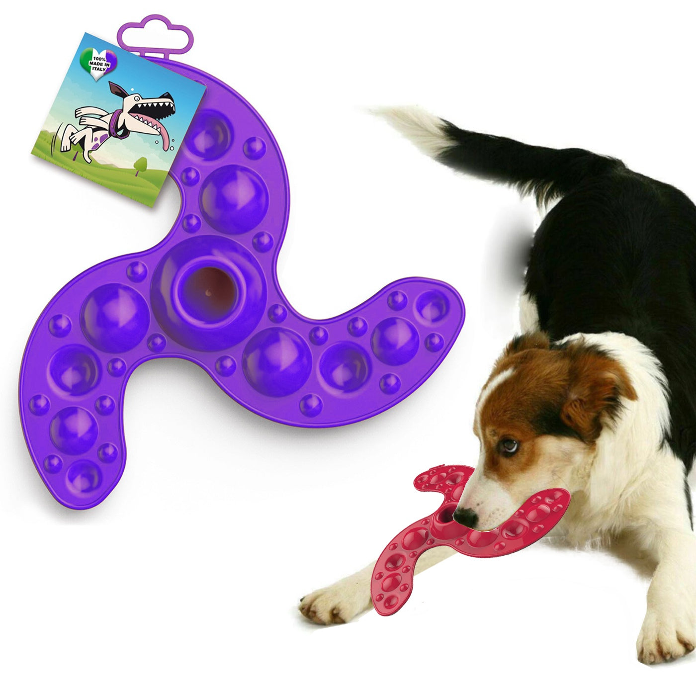 Italy Dogs Fresbee Ninja - skraidantis diskas šunims